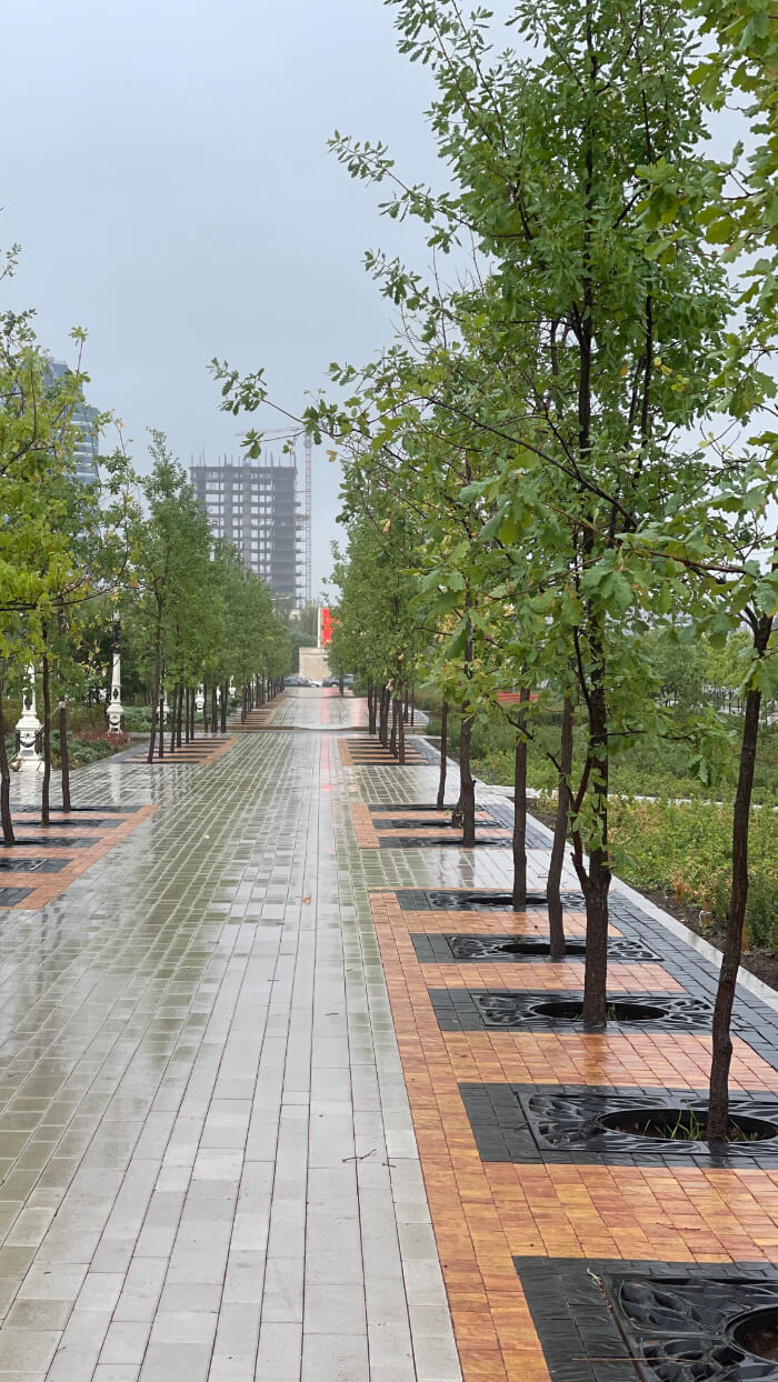 Приствольная решетка для дерева ZKING CRUST 1.2х1.2м Черная в Тихорецке фото