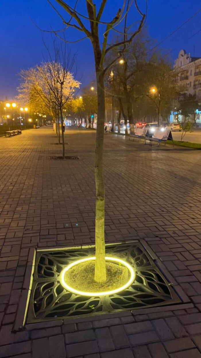 Приствольная решетка для дерева ZKING CRUST 1.2х1.2м Черная в Тихорецке фото